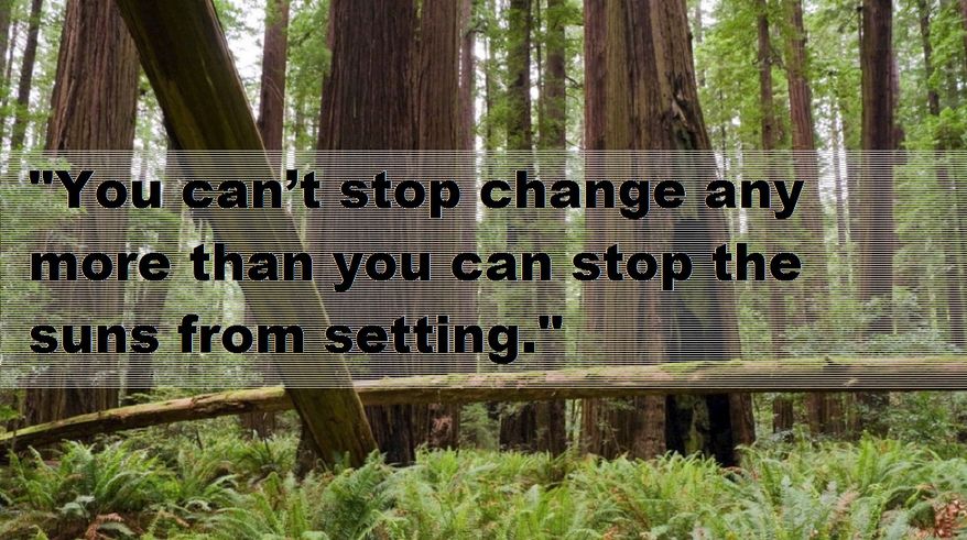 "You can’t stop change any more than you can stop the suns from setting."