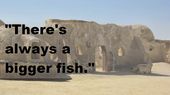 16-Always a Bigger Fish.jpg