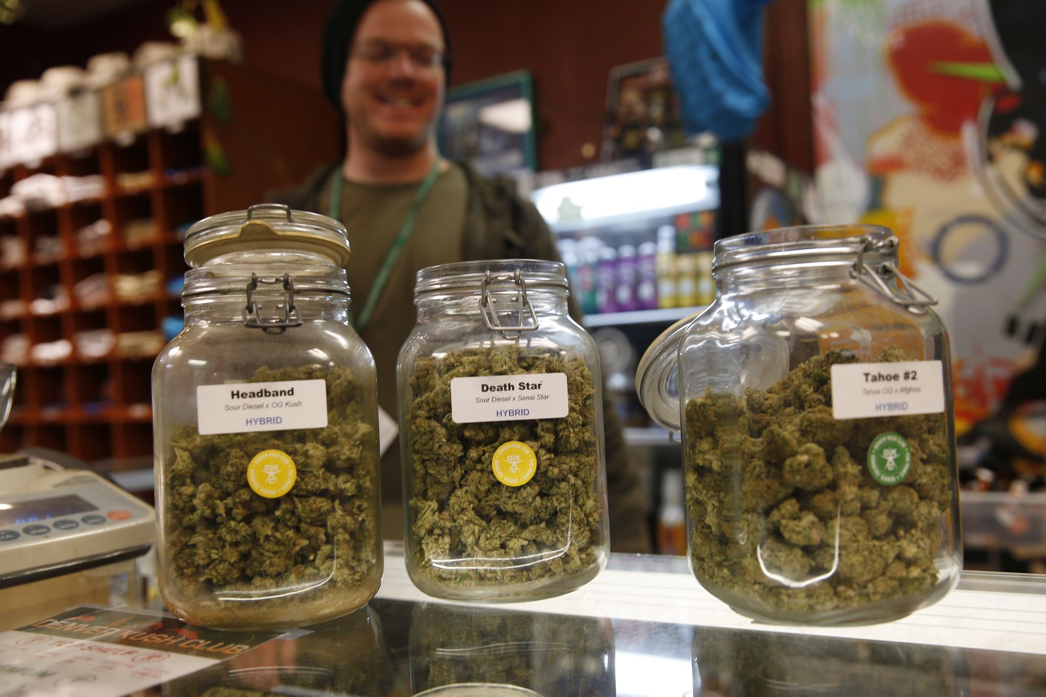 Colorado marijuana shops shattered record, sold $7.3M worth of pot on 4/20: report