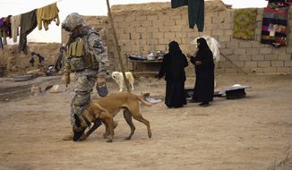 The U.S. military is trying harder to reunite soldiers with their four-legged battlefield companions, both as a way to readjust service personnel to home life and to get the dogs out of harm&#39;s way. (Associated Press)