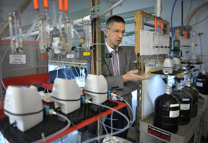 ADVANCE FOR USE MONDAY, DEC. 14 - In this photo taken Nov. 23, 2015,, St. Cloud State University professor Heiko Schoenfuss talks in the school's aquatic toxicology lab in St. Cloud, Minn., about the ongoing study that observes the effects of common pharmaceuticals and chemicals in water on fathead minnows. (Kimm Anderson/St. Cloud Times via AP) NO SALES; MANDATORY CREDIT
