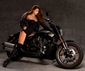Harley