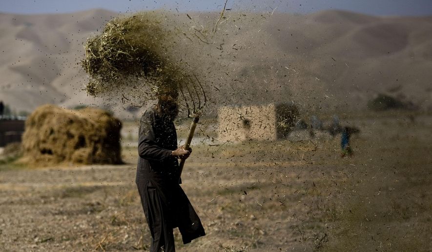 In this Nov. 5, 2010, file photo, an Afghan farmer threshes hay in Sangin, Afghanistan. Taliban gunmen have overrun a strategic district in the southern province of Helmand, delivering a serious blow to government forces, Afghan officials said on Monday, Dec. 21, 2015. (AP Photo/Dusan Vranic, File) ** FILE **