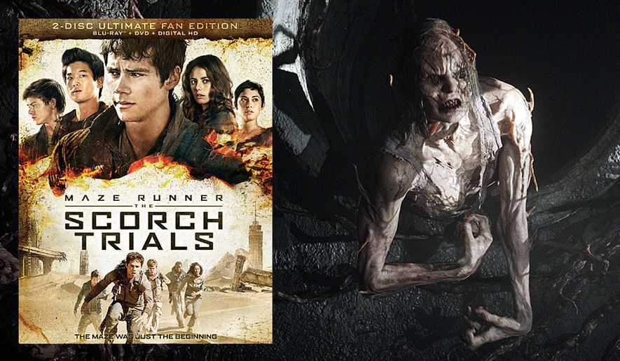 The Maze Runner 2': 'The Scorch Trials' Set for 2015