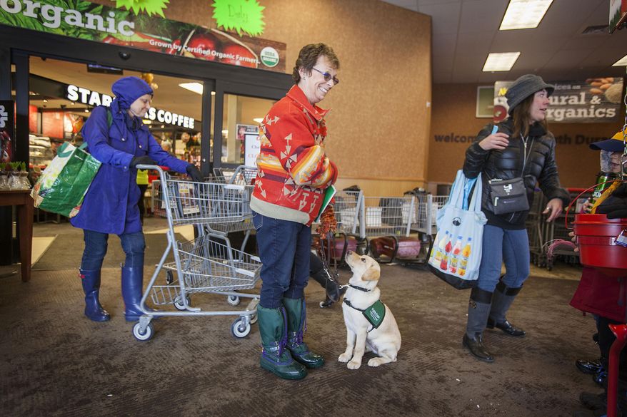 ADVANCE FOR WEEKEND EDITIONS, JAN. 9-10, 2016 AND THEREAFTER - In this Wednesday, Dec. 23, 2015, photograph, Nancy Peake works with four-month-old puppy named Greer at the entrance of City Market in Durango, Colo. Peake has socialized 12 puppies for Guide Dogs for the Blind. (Shaun Stanley/Durango Herald via AP)MANDATORY CREDIT