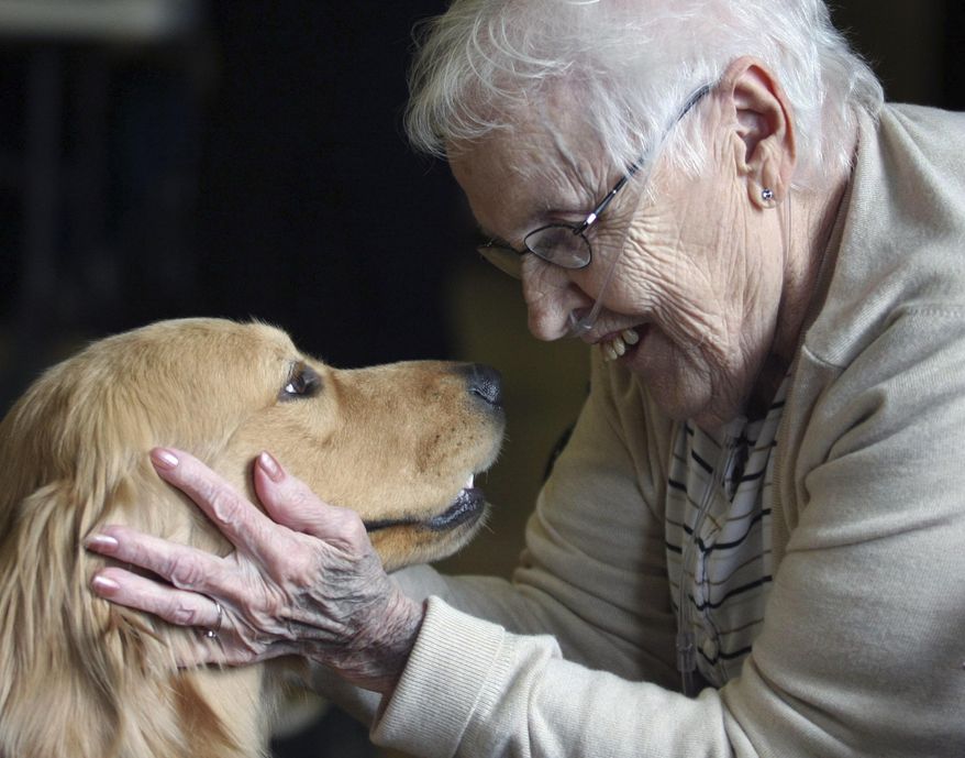 In this March 18, 2015 photo, Maxine Critchelow, a resident at Imboden Creek Living Center in Decatur, Ill., enjoys eye contact from comfort dog, Eli, during a PawPrint Ministries visit with residents. The faith-based organization thrives on helping those in need. (Jim Bowling/Herald & Review via AP)