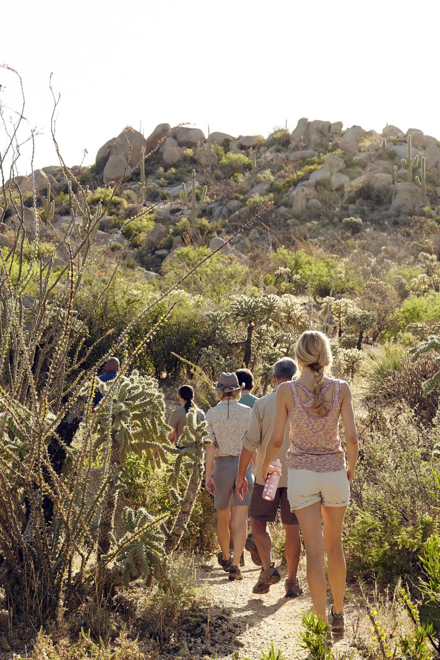 This undated photo provided by Miraval Resort & Spa shows guests on a guided hike organized by the spa, which is located north of Tucson, Ariz. Miraval and many other spas are hosting corporate groups, meetings and organizations for team-building, wellness and other activities and services. (Miraval via AP)