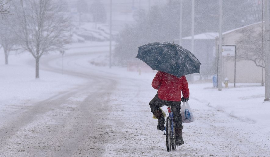 A man on a bicycle, holding both an umbrella and his groceries, tries to pedal through the snow on Bob Morrison Blvd Wednesday afternoon, Jan. 20, 2016, in in Bristol Va. (Andre Teague/The Bristol Herald-Courier via AP) MANDATORY CREDIT