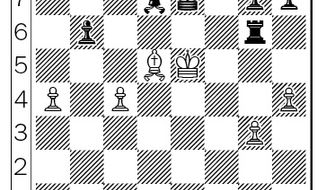 Navara-Caruana after 48…Rh6-g6.