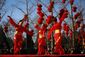 china_lunar_new_year.jpeg