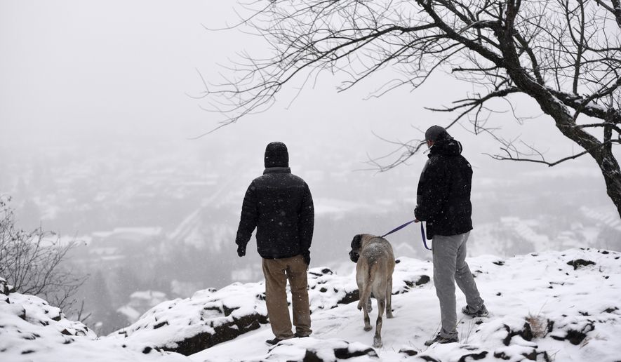 David Filchak, left, of Norwood, N.J., and Darren Baskinger, right, of Pompton Lakes, N.J., and his 5-year-old English mastiff, Ellie, look out onto Paterson from Garret Mountain Reservation during the snowstorm on Monday, Feb. 15, 2016.. (Danielle Parhizkaran/Northjersey.com via AP)