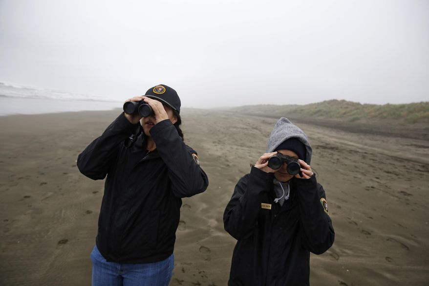 Veronica Hurd, GGNRA wildlife monitoring intern and Brittany Livingston, GGNRA wildlife monitoring intern, look through binoculars for snowy plovers on Ocean Beach on Friday, March 4, 2016 in San Francisco, Calif. The average count at the bird's overwintering ground in Crissy Field Wildlife Protection Area and Ocean Beach is usually between 20 and 30 birds but this January as many as 104 plovers were counted in a single day. (Lea Suzuki/San Francisco Chronicle via AP) MANDATORY CREDIT PHOTOG & CHRONICLE; MAGS OUT; NO SALES
