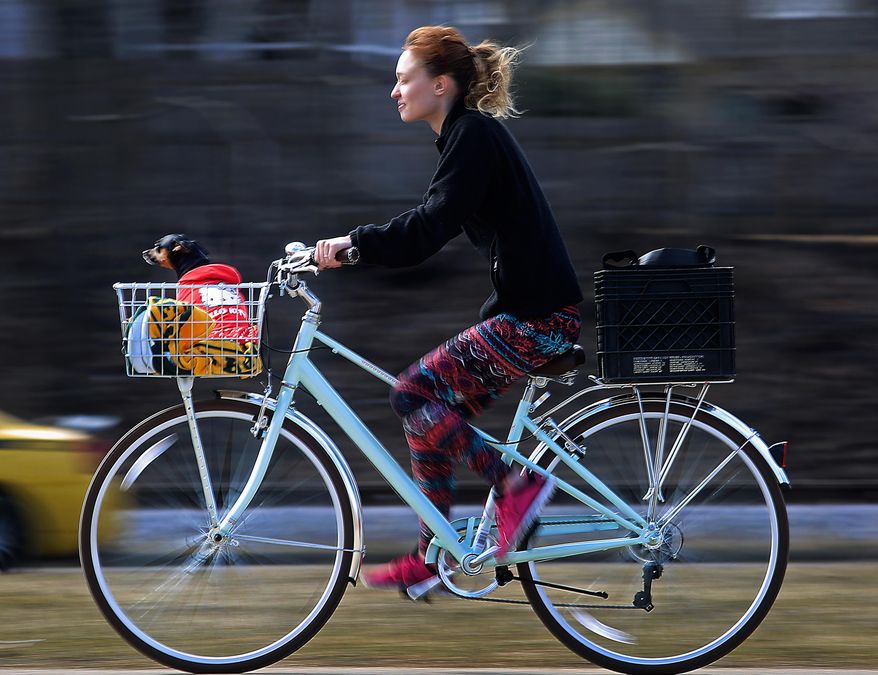 Bailey Leighton and her miniature pinscher "Baby Girl" enjoy the area's recent unseasonably mild temperatures while making their way along the Capitol City Trail in Madison, Wis. Tuesday, March 8, 2016. (John Hart/Wisconsin State Journal via AP) MANDATORY CREDIT