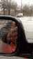 3_142016_pgpd-suspect-hand8201.jpg