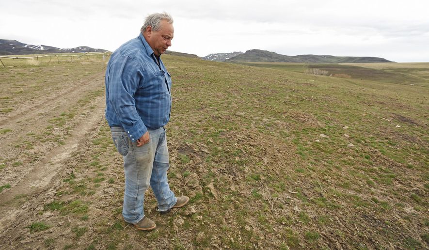 In this photo taken Thursday, March 10, 2016, rancher Ed Wilsey looks over an area of his rangeland near Marsing, Idaho. The area was recently reseeded after most of his ranching land was burned in the 280,000-acre Soda Fire that started last August. (Greg Kreller/The Idaho Press-Tribune via AP) MANDATORY CREDIT