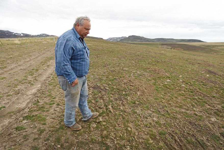In this photo taken Thursday, March 10, 2016, rancher Ed Wilsey looks over an area of his rangeland near Marsing, Idaho. The area was recently reseeded after most of his ranching land was burned in the 280,000-acre Soda Fire that started last August. (Greg Kreller/The Idaho Press-Tribune via AP) MANDATORY CREDIT