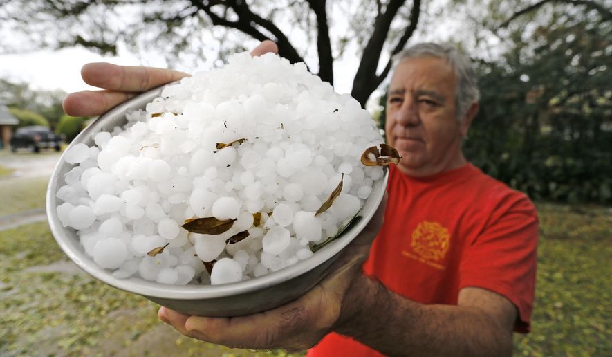 L.C. Martin holds a bowl-full of hail stones from his neighborhood south of TCU, Thursday, March 17, 2016 in Fort Worth, Texas. Hail the size of golf balls coated parts of North Texas, broke windows, damaged police vehicles and killed exotic birds at the Fort Worth Zoo. (Paul Moseley/Star-Telegram via AP) MAGS OUT; (FORT WORTH WEEKLY, 360 WEST); INTERNET OUT; MANDATORY CREDIT