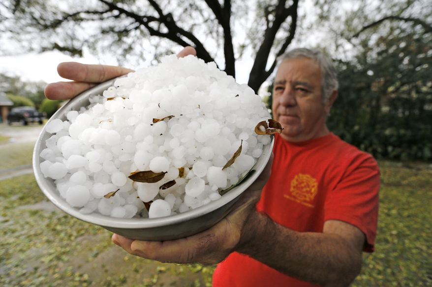 L.C. Martin holds a bowl-full of hail stones from his neighborhood south of TCU, Thursday, March 17, 2016 in Fort Worth, Texas. Hail the size of golf balls coated parts of North Texas, broke windows, damaged police vehicles and killed exotic birds at the Fort Worth Zoo. (Paul Moseley/Star-Telegram via AP) MAGS OUT; (FORT WORTH WEEKLY, 360 WEST); INTERNET OUT; MANDATORY CREDIT