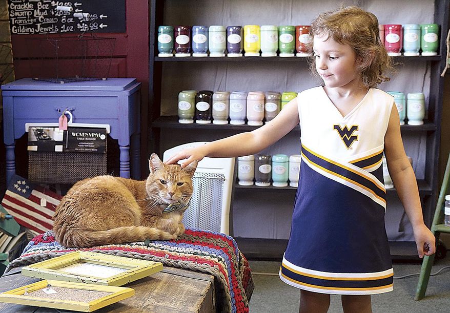ADVANCE FOR MONDAY MARCH 21 AND THEREAFTER This thursday March 10, 2016 photo shows Genna Dunn, 3, from Franklin, as she enjoys her time with Cowboy, a Randolph County Humane Society foster cat, while her parents shop at Shabby Avenue in Elkins, W.Va. The store is one of three regional businesses currently partnering with the RCHS to foster cats for adoption. (Chris Lee/The Inter-Mountain via AP)