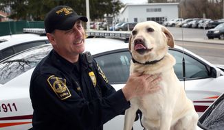 In a Friday, March 11, 2016, file photo, Virginia Tech police officer Larry Wooddell and his canine partner Boomerl pose in front of the department headquarters on the Virginia Tech campus in Blacksburg, Va. Wooddell has collected more than a few stories over the past eight years, as he’s carried the leash for one of the region’s most recognizable bomb-sniffing dogs around. The duo has clocked in for every shift together for nearly a decade, and now they’re planning to retire together at the beginning of April. (Matt Gentry/The Roanoke Times via AP)