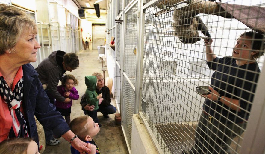 In this March 8, 2016 photo, Bev Dondeville, left, her with grandchildren Madelyn Webb, 4, and Masen Webb, 3, observe as zookeeper Grace Erker feeds a sloth while sharing information about it during the Sleepy Sloths Zoo Buddies program at the Scovill Zoo in Decatur, Ill. (Jim Bowling/Herald &amp;amp; Review via AP) MANDATORY CREDIT