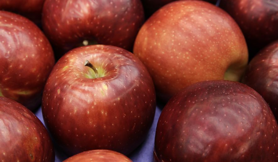 In this photo taken Friday, Feb. 12, 2016, a box of Cosmic Crisp apples is shown at Washington State University's Tree Fruit Research & Extension Center in Wenatchee, Wash. The apple is a brand new trademarked and focus group tested variety developed by the WSU lab over the last 20 years. For at least one decade, it will be available for planting only to Washington farmers. (AP Photo/Ted S. Warren)
