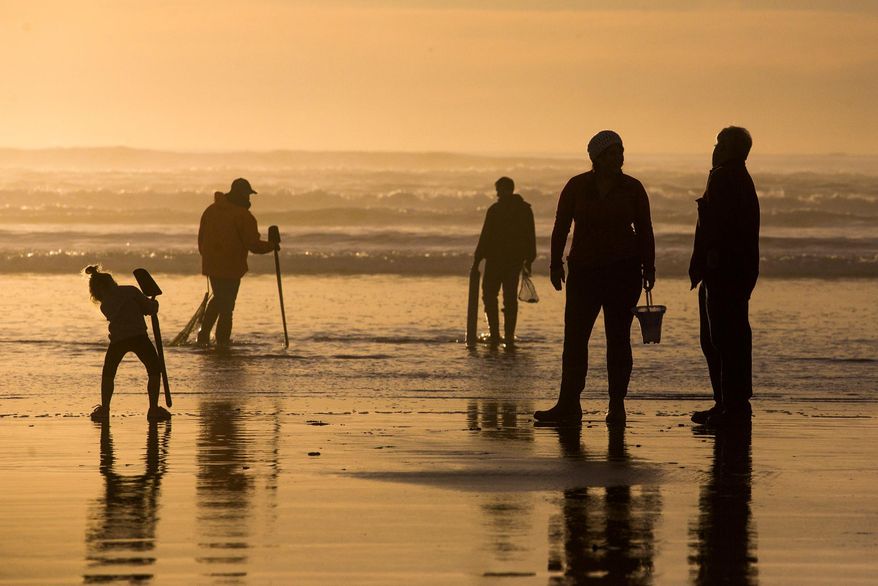 In this Feb. 9, 2016, photo, visitors look for clams to dig along the beach at Fort Stevens State Park in Warrenton, Ore. Consistent visitation leaves little time for park rangers to finish maintenance projects in time for the peak summer months. (Joshua Bessex/The Daily Astorian via AP) MANDATORY CREDIT