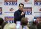 GOP 2016 Walker's Resurgence .JPEG-01c3e.jpg