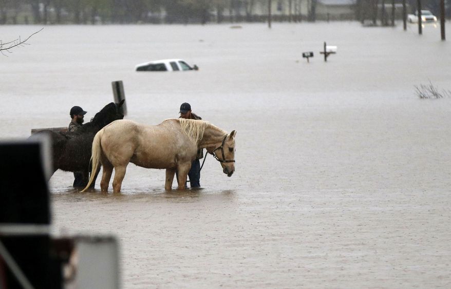 FILE - In this March 10, 2016 photo, two men secure two horses in rising floodwaters as a Bossier Parish Sheriff truck passes in Bossier Parish, La. An economist with the LSU AgCenter said agricultural losses from last month's flooding across Louisiana could top $15 million. (AP Photo/Gerald Herbert, File)