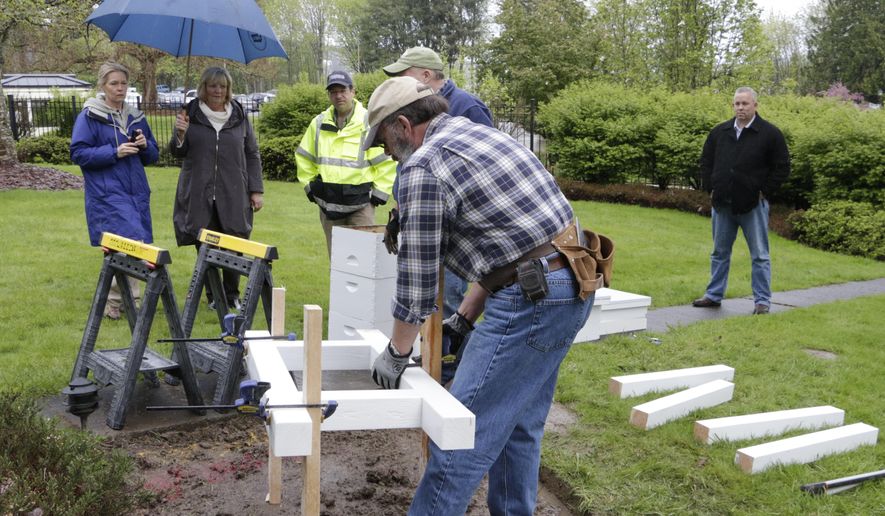 Members of the Olympia Beekeepers Association install a base for bee hive boxes on the front lawn of the governor's mansion as first lady Trudi Inslee, holding umbrella, looks on, in Olympia, Wash., Thursday, April 14, 2016. About 30,000 European honeybees will be placed in the hives next week as part of an effort to raise awareness about the decline of bee populations, as well as to boost pollination of plants on the Capitol campus. (AP Photo/Rachel La Corte)