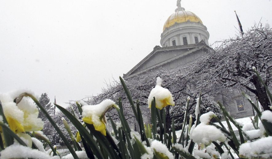 Snow from a late-season storm covers flowers on the grounds of the Vermont Statehouse Tuesday, April 26, 2016, in Montpelier. Vt. Forecasters said it's late for snow but it's not unprecedented to have snow in late April in northern New England. (AP Photo/Wilson Ring)