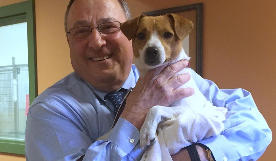 In this photo provided by the Greater Androscoggin Human Society, Maine Gov. Paul LePage holds a dog he adopted and named "Veto" on Tuesday, May 3, 2016, at the Greater Androscoggin Humane Society in Lewiston, Maine. LePage holds the state record for vetoes. (Zachary Black/Greater Androscoggin Human Society via AP)