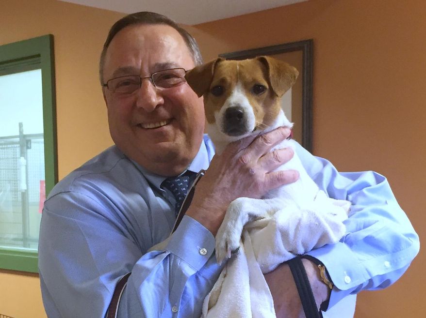 In this photo provided by the Greater Androscoggin Human Society, Maine Gov. Paul LePage holds a dog he adopted and named "Veto" on Tuesday, May 3, 2016, at the Greater Androscoggin Humane Society in Lewiston, Maine. LePage holds the state record for vetoes. (Zachary Black/Greater Androscoggin Human Society via AP)