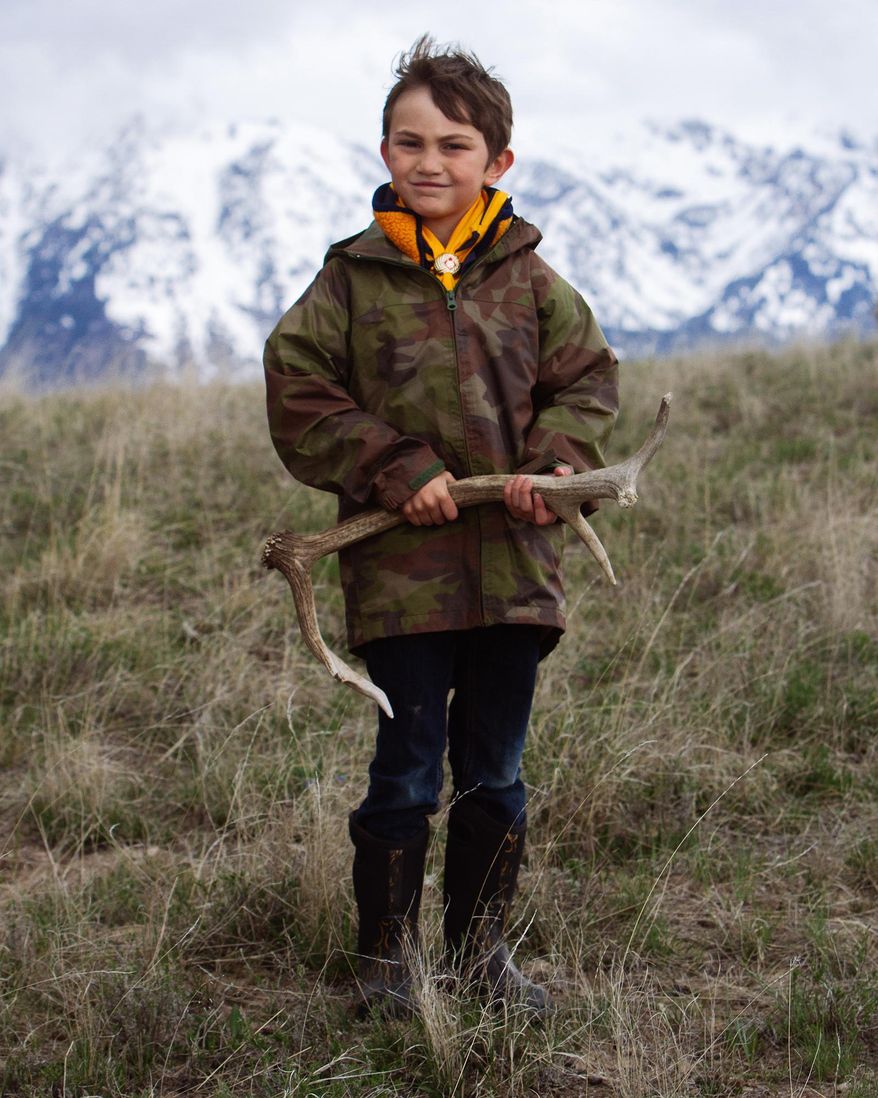 In this Saturday, April 23, 2016 photo, Cub scout Eli Byington holds one of two antlers he found while combing through the National Elk Refuge with members of his pack outside Jackson, Wyo. The antlers, along with many others, will be auctioned off during the annual Boy Scouts of America Elk Antler Auction on May 21. (Ryan Jones/Jackson Hole News & Guide via AP) MANDATORY CREDIT