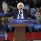 DEM 2016 Sanders.JPEG-b9cf0.jpg