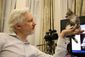 Britain Assange Kitten.JPEG-010ad.jpg