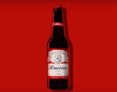 Budwiser America.jpg