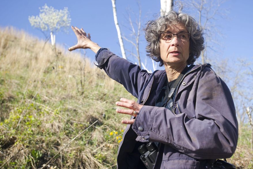 ADVANCED FOR RELEASE SATURDAY, MAY 14, 2016 Marcie O’Connor explains the progression of the restored prairie she has grown over the past fifteen years in Alma, Wis. (Taylor Nyman/Winona Daily News via AP)