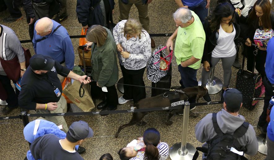 FILE - In this March 17, 2016, file photo, a K-9 handler with the Transportation Security Administration walks his dog through lines of travelers approaching a security screening checkpoint at Seattle-Tacoma International Airport in Seattle. Facing a growing backlash over extreme airport security lines, Homeland Security Secretary Jeh Johnson and Transportation Security Administration Administrator Peter Neffenger will address the upcoming summer travel season Friday, May 13, 2016, and what steps they’re taking to alleviate waits. (AP Photo/Ted S. Warren, File)
