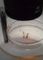 Brownsville Zika Preparedness.JPEG-0661d.jpg