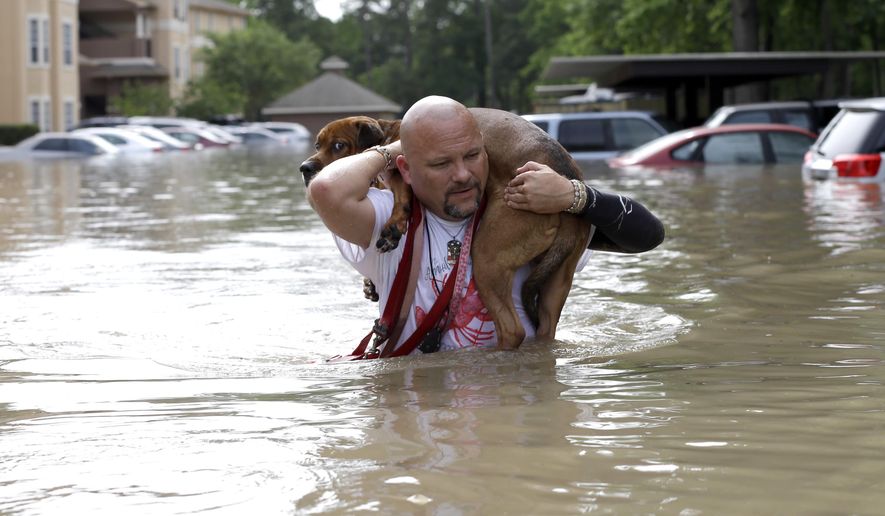 FILE - In the April 19, 2016 file photo, Louis Marquez carries his dog Dallas through floodwaters after rescuing the dog from his flooded apartment in Houston. Houston's worsening floods are being blamed on a "growth-at-any-cost' political creed that benefits developers but has widened floodways and digs ever more into taxpayers' pockets. (AP Photo/David J. Phillip, File)