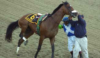 Barbaro is held by jockey Edgar Prado and a track worker after injuring his leg at the start of the 131st running of the Preakness Stakes, Saturday, May 20, 2006, at Pimlico Race Course in Baltimore. (AP Photo/Matthew S. Gunby)