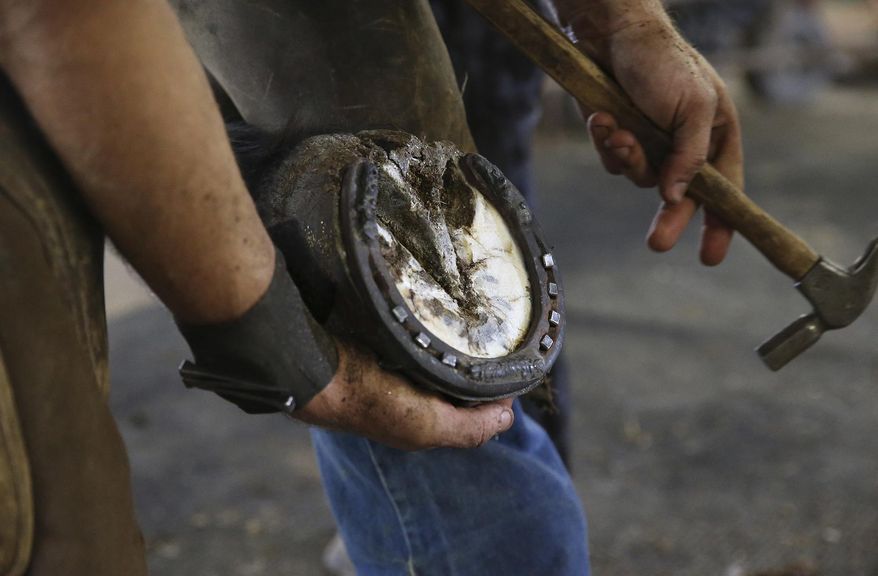 In this April 28, 2016 photo, Luca Holloway, 18, with his outfit named Old English Horseshoeing, shows a finished job of shoes on a horse called Babe, a 12-year-old standard breed, at Lollypop Carriage Company near downtown San Antonio, Texas. Holloway, surely one of the youngest farriers in the area, takes pride in the hoof care of horses, an art dating back centuries. (Tom Reel/The San Antonio Express-News via AP) RUMBO DE SAN ANTONIO OUT; NO SALES; MANDATORY CREDIT