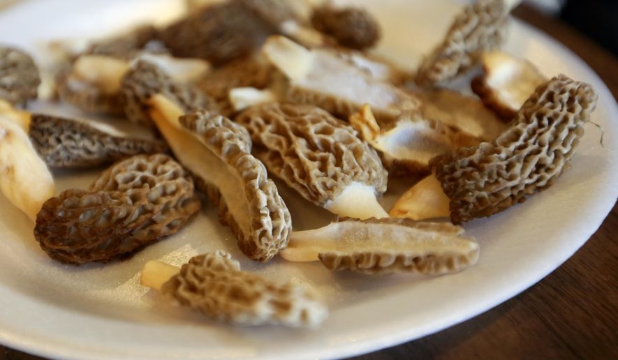 This Tuesday, May 3, 2016 photo, shows a collection of morels at the home of Larry Roth, in Asbury, Iowa. (Nicki Kohl /Telegraph Herald via AP) MANDATORY CREDIT