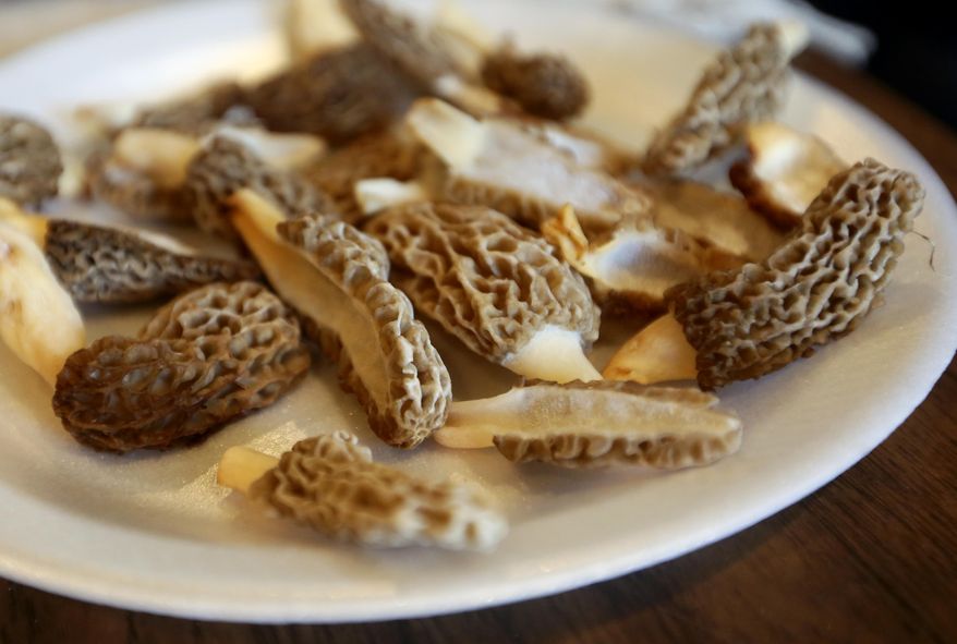 This Tuesday, May 3, 2016 photo, shows a collection of morels at the home of Larry Roth, in Asbury, Iowa. (Nicki Kohl /Telegraph Herald via AP) MANDATORY CREDIT