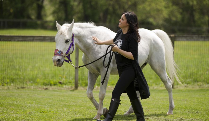 Tracey Stewart, leads Lily the horse she adopted away at the end of a news conference Wednesday, May 25, 2016, in Kennett Square, Pa. Doreen Weston, the former owner of the horse adopted by Jon Stewart and his wife Tracey that was portrayed as having been shot by paintballs over 100 times, said Wednesday the animal was used at children's finger-painting parties and was never injured by a paintball gun. Lily was found seemingly abandoned at an auction stable in New Holland, Pa., in March. Police say she was covered in paint and extremely sore to the touch. (AP Photo/Matt Rourke)