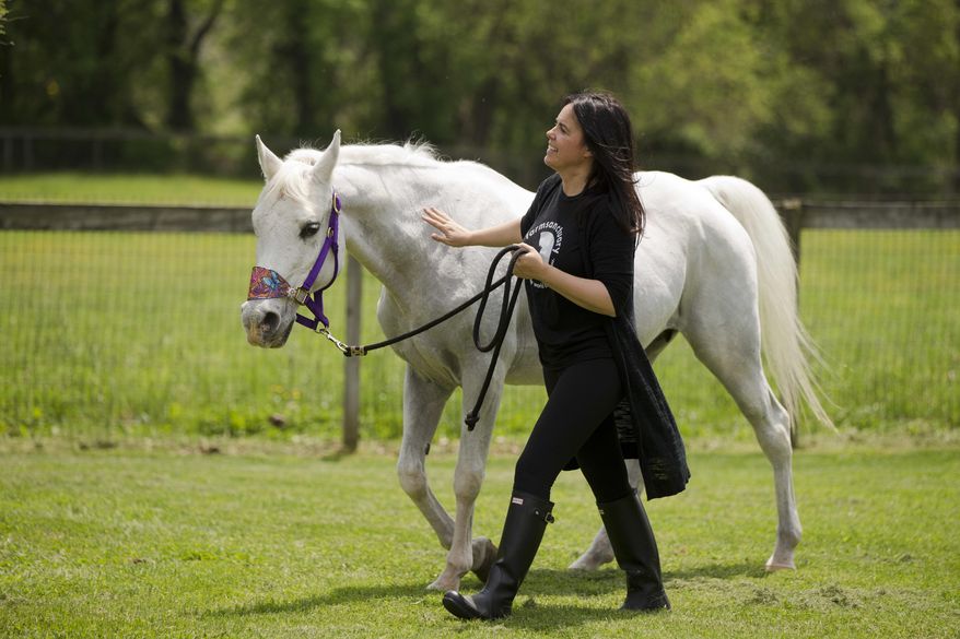 Tracey Stewart, leads Lily the horse she adopted away at the end of a news conference Wednesday, May 25, 2016, in Kennett Square, Pa. Doreen Weston, the former owner of the horse adopted by Jon Stewart and his wife Tracey that was portrayed as having been shot by paintballs over 100 times, said Wednesday the animal was used at children's finger-painting parties and was never injured by a paintball gun. Lily was found seemingly abandoned at an auction stable in New Holland, Pa., in March. Police say she was covered in paint and extremely sore to the touch. (AP Photo/Matt Rourke)