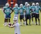 dolphins_tannehill_football.jpeg