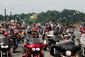5_292016_memorial-day-48201.jpg