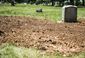Jane Doe Exhumed .JPEG-0e7c8.jpg